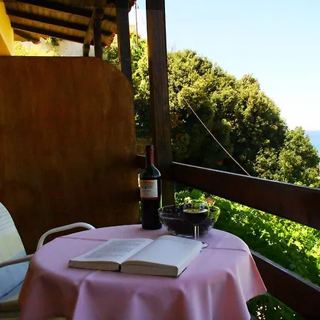 Apartment Papa Nero And Agios Ioannis (Thessaly)
